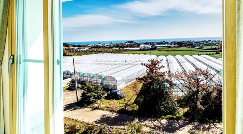 Villamerci Seogwipo Dış mekan fotoğraf